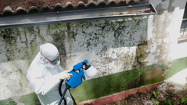 Top rated local Mold Remediation specialists in McSherrystown, PA